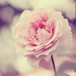 Meet your Posher, Nadia